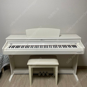 다이나톤 디지털피아노 DP3000