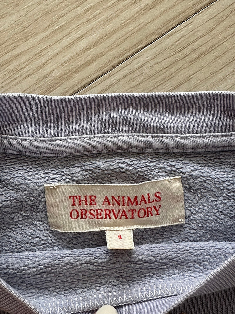 타오 연보라 스웻 4y--2