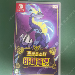 닌텐도 스위치 포켓몬 바이올렛