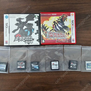 닌텐도 DS 3DS 포켓몬스터 알팩 곽팩