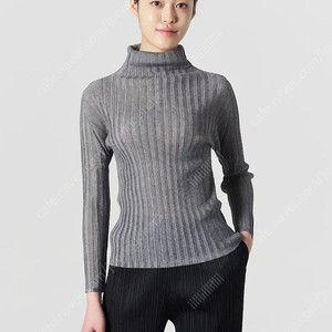 이세이미야케 플리츠플리즈 립 플리츠 베이직 탑