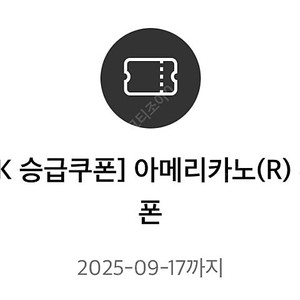 투썸 아메리카노 R