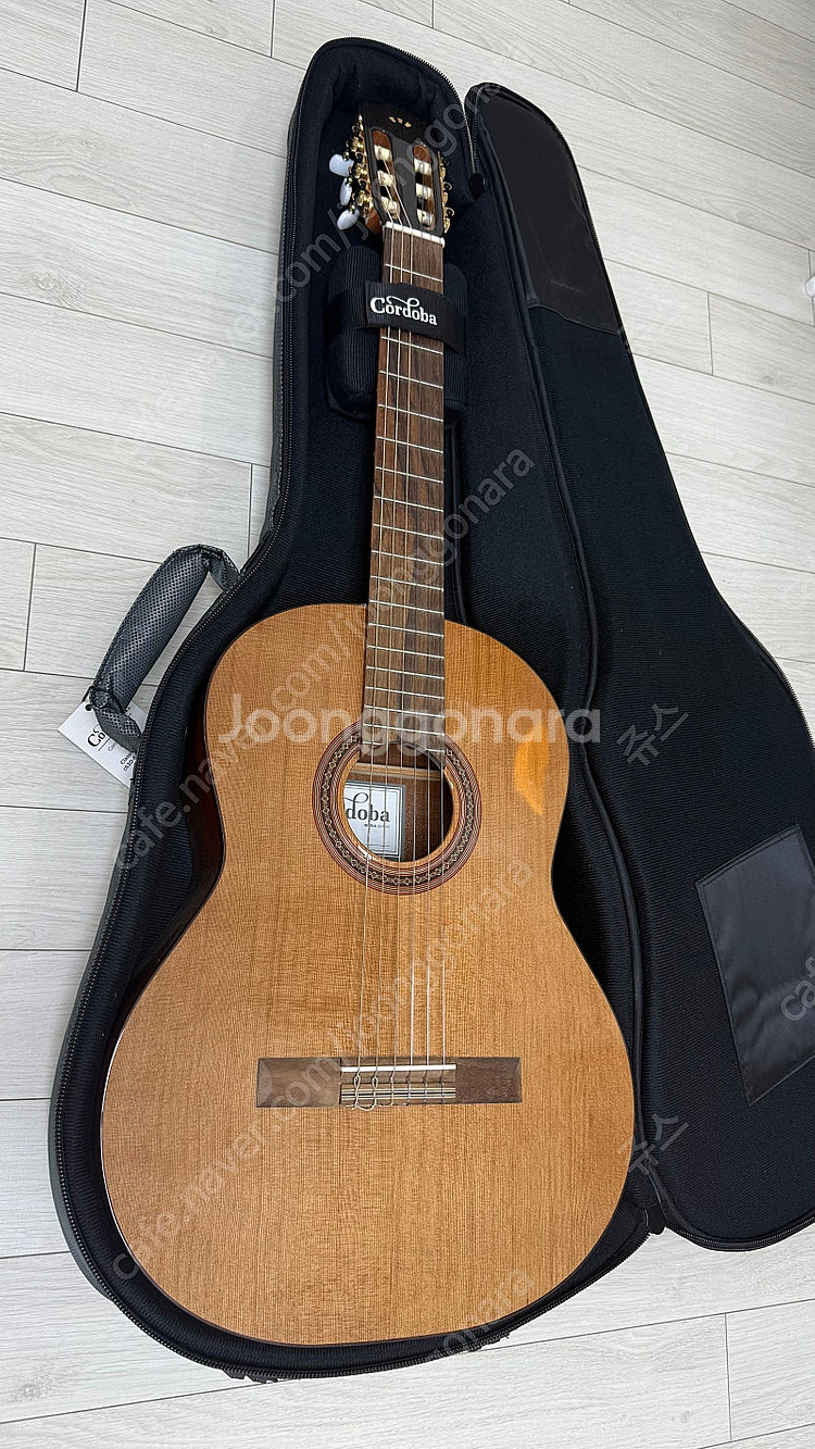 코르도바 C5 클래식 기타--0