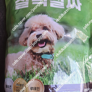 잘먹잘싸 강아지 사료 2키로