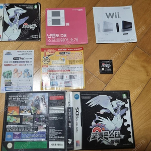 닌텐도 DS 3DS 포켓몬스터 블랙