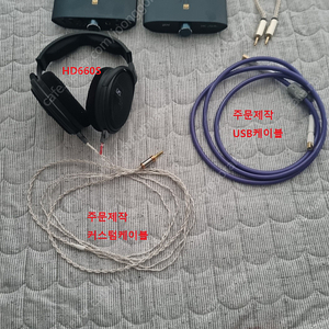 zen dac 시그니처 6XX 세트 (zen can , zen dac) .hd660s 등 pc파이 구성 팝니다