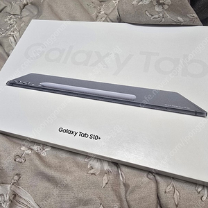 삼성 갤럭시 탭 S10 플러스 Wi-Fi 512GB
