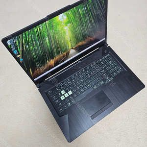 ASUS TUF 게이밍 노트북 17인치 i5 11세대 32GB RTX3050TI