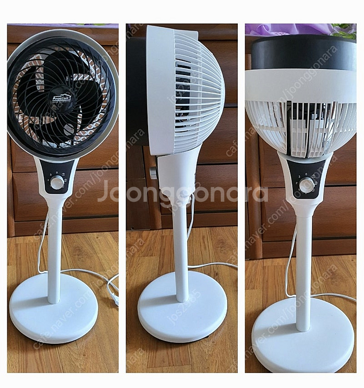 선풍기전원들어와서회전되는데바람은안되서혹시덤)전부예쁜식물...--0
