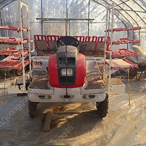 국제승용이앙기 판매