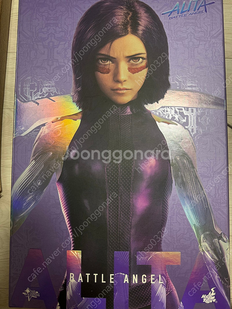 핫토이 알리타 팝니다--0