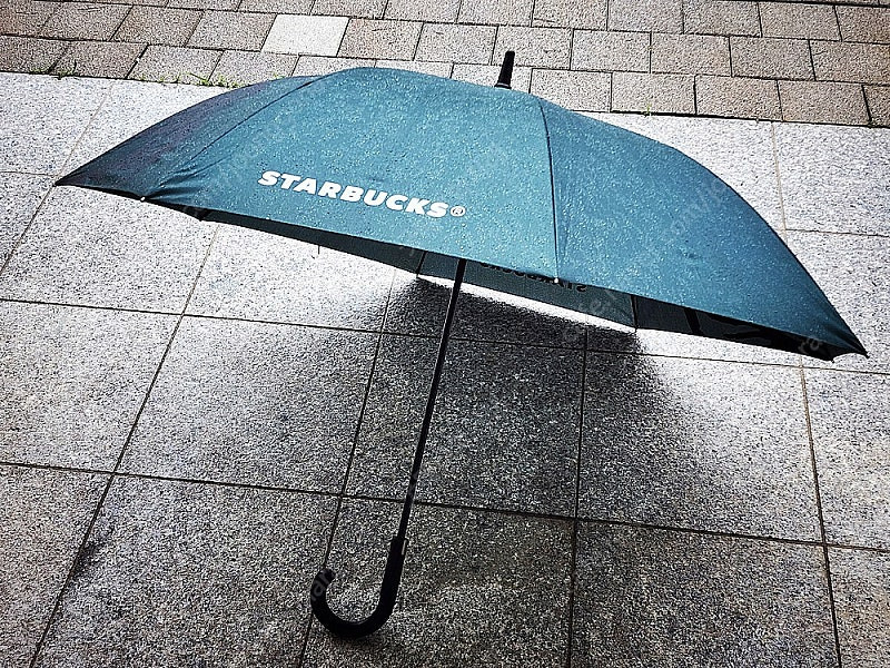 스타벅스 자동 장우산 이미지