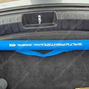 아부가르시아 솔티파이터 제로텐 한치대 / NS킹덤 갈치대 판매합니다