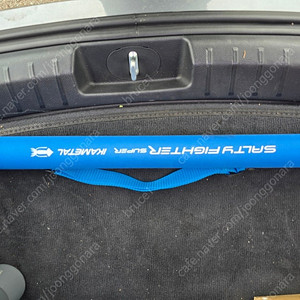 아부 솔티파이터 제로텐 한치대 / NS킹덤 갈치대 판매