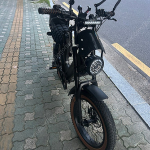 알톤 파이톤 20 블랙 전기자전거