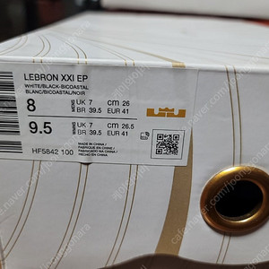 르브론 21 콘키올린 260mm