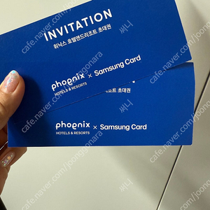 블루캐니언티켓 2장 팝니다!