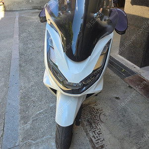 24년식 pcx125 판매합니다.