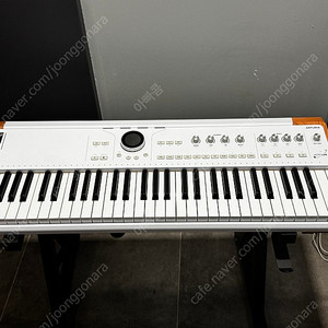 arturia astrolab 61건반