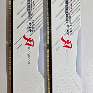 킹뱅크 ddr5 6400 16gb*2