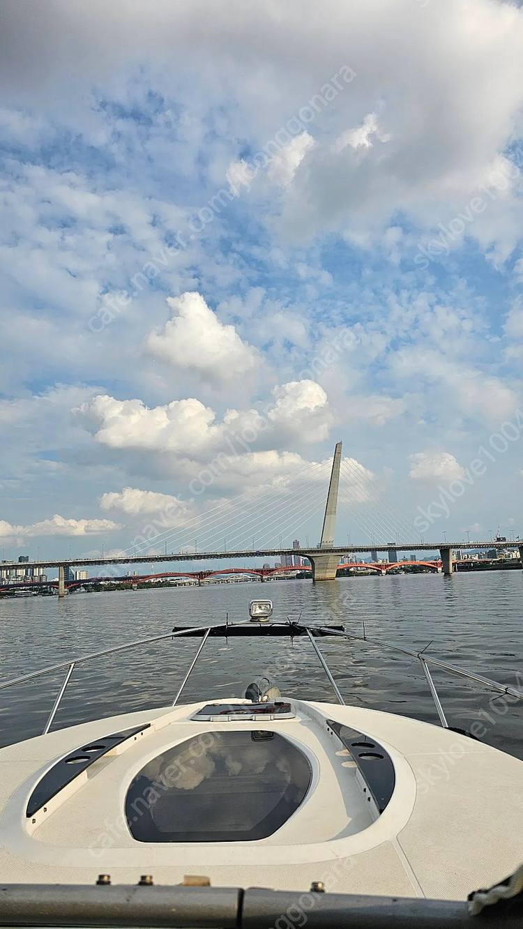 여의도불꽃축제 이미지