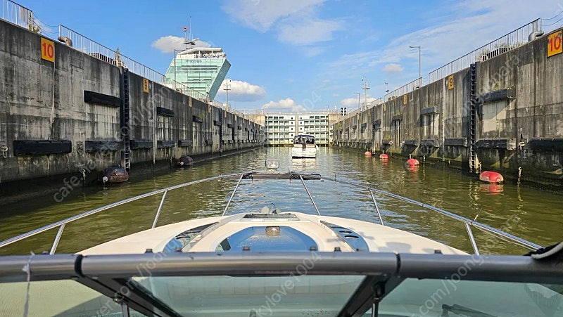 여의도불꽃축제 이미지