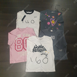 자라 티셔츠 5장 일괄