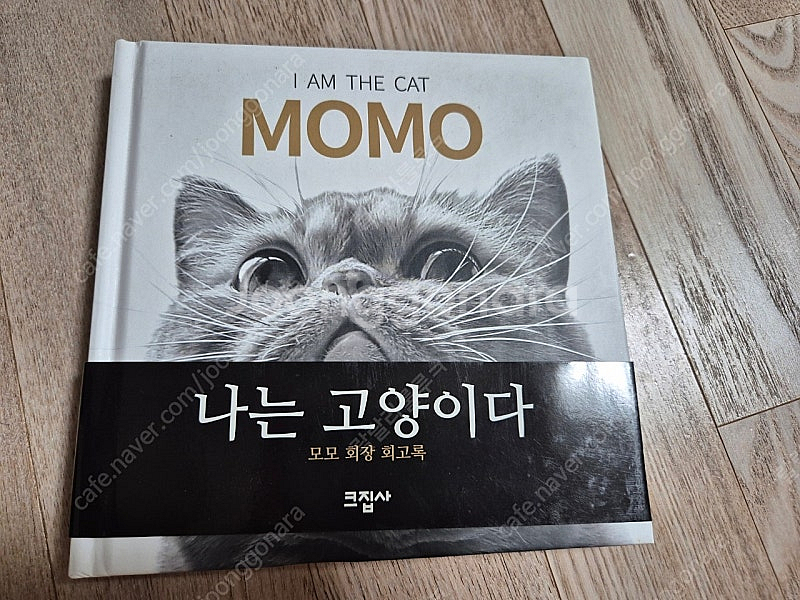 크림히어로즈 크집사 고양이 회고록, 나는 고양이다 사진...--0