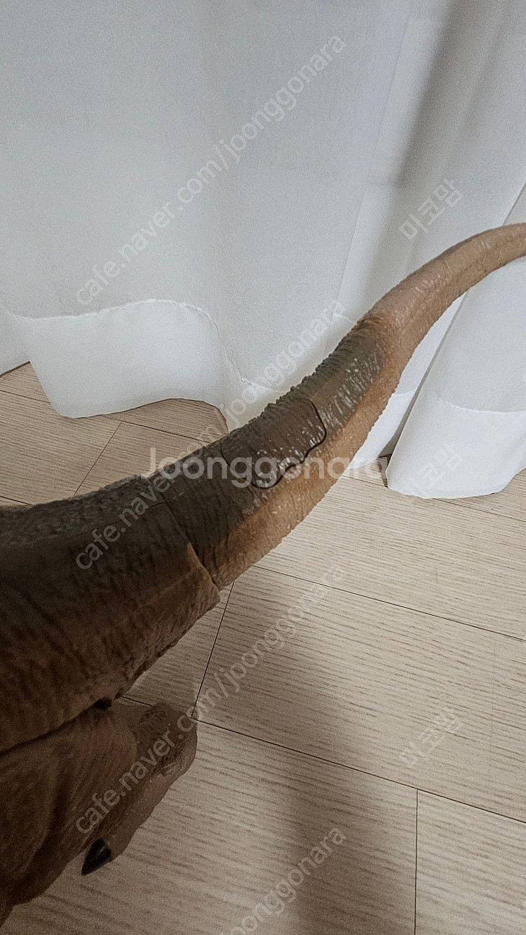 쥬라기월드2 백악기어드벤처 리얼액션 티렉스 장난감--1