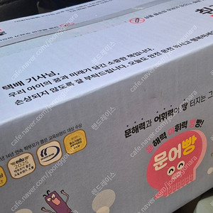문해력전집 문어빵 새상품