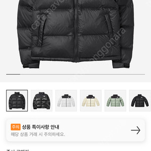 노스페이스 1996 에코 눕시 패딩