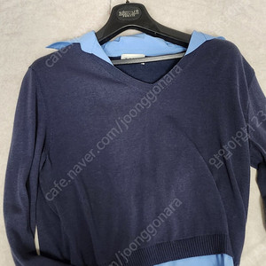 타임 카라셔츠 니트 10만