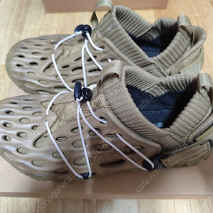 머렐 히이드로목