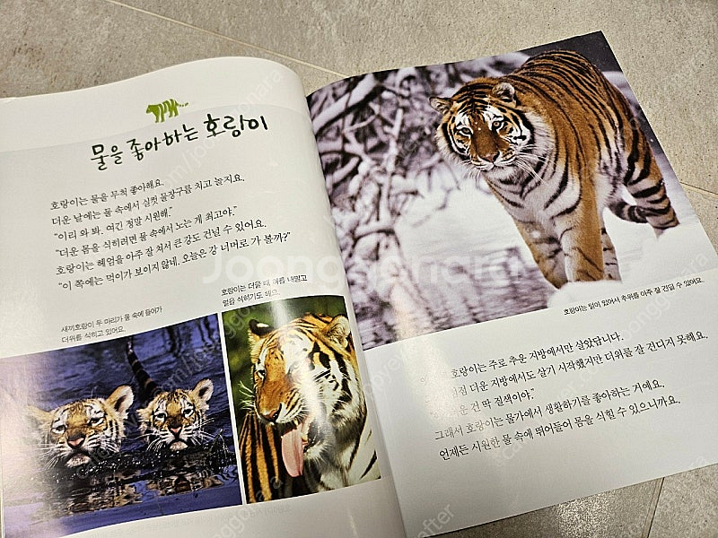 기탄 자연관찰 슬림형 50권--2