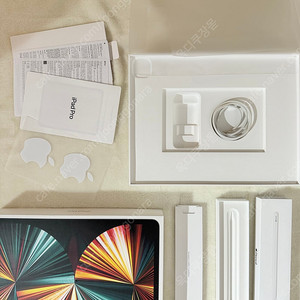 iPad Pro 5세대 12.9형 256GB wifi