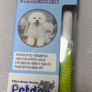 펫덴