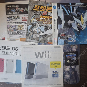 닌텐도 ds 포켓몬스터 블랙2 포켓몬스터 화이트2