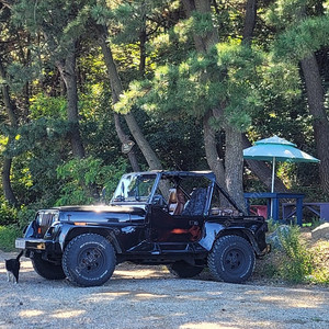 Jeep랭글러 YJ 93년식4.0 레니게이드