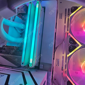 [CORSAIR] DDR5 PC5-48000 CL30 Dominator Titanium White [64GB (32GB*2)] (6000)