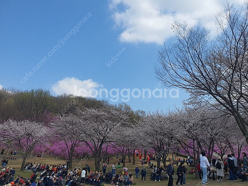 yl피싱 m145 구매하고 싶어요 연락 부탁드립니다.--0