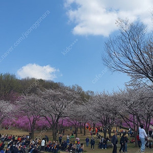 yl피싱 m145 구매하고 싶어요 연락 부탁드립니다.