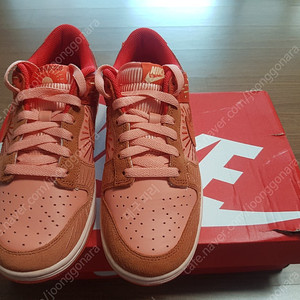 나이키 덩크 로우 동지 우먼 245 판매