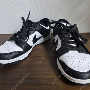 나이키 덩크 로우 범고래 260 실착3회