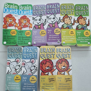 브레인퀘스트
