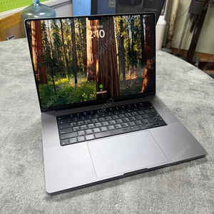 Apple Macbook Pro A2485 M1 MAX 16인치 노트북 판매합니다.