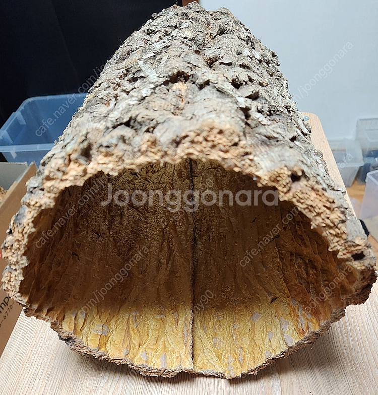 굴피 통피 참나무껍질 굴참나무 껍질 팝니다. 인테리어, 원예, 동물 은신처, 양봉--0