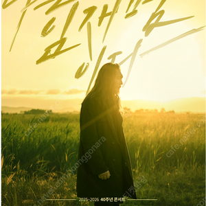 2025-26 임재범 40주년 콘서트 - 대구 2구역 1열 2연석 양도합니다.