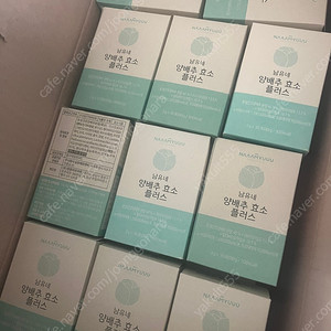 남유네 양배추효소