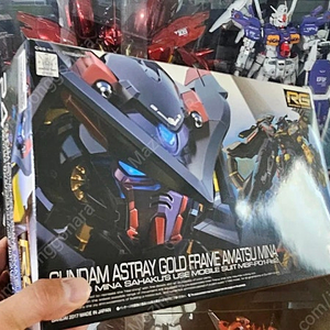 RG 건담 아스트레이 골드 프레임 아마츠 미나 미개봉
