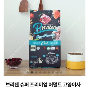 브리젠 고양이 어덜트 인도어 사료 총 2.4키로 일괄